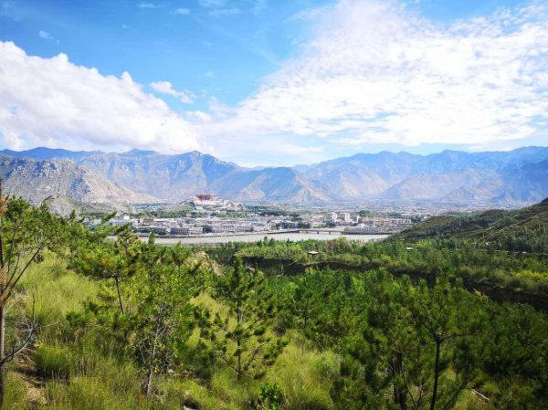 炒股配资最新 辉煌60载 魅力新西藏丨绿动高原：西藏以生态文明高地创建书写绿色发展新篇章